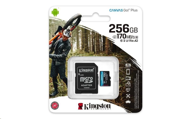 Kingston SDXC UHS-I U3 256 GB SDCG3/256GB